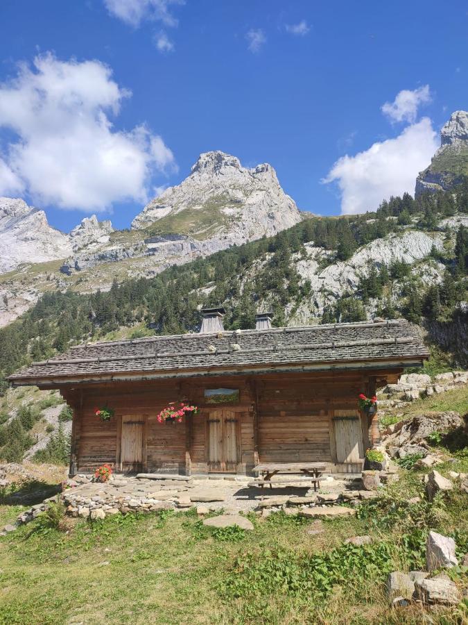 Villa La Petite Anfiane à Le Grand-Bornand Extérieur photo
